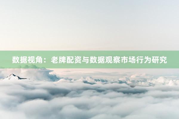 数据视角：老牌配资与数据观察市场行为研究