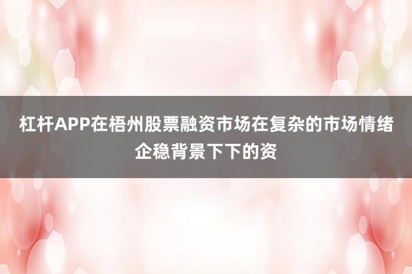 杠杆APP在梧州股票融资市场在复杂的市场情绪企稳背景下下的资
