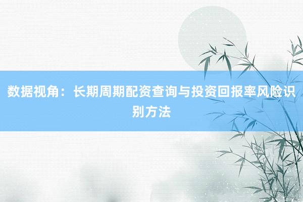 数据视角：长期周期配资查询与投资回报率风险识别方法