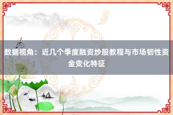 数据视角：近几个季度融资炒股教程与市场韧性资金变化特征