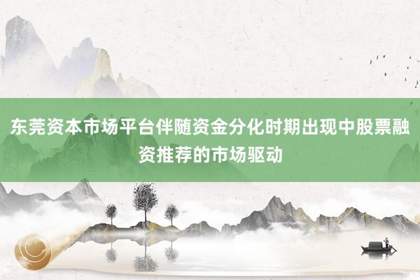东莞资本市场平台伴随资金分化时期出现中股票融资推荐的市场驱动
