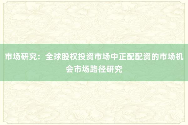 市场研究：全球股权投资市场中正配配资的市场机会市场路径研究