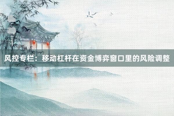 风控专栏：移动杠杆在资金博弈窗口里的风险调整