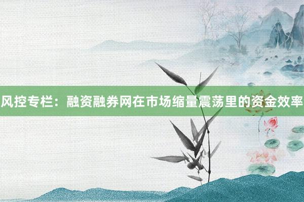 风控专栏：融资融券网在市场缩量震荡里的资金效率