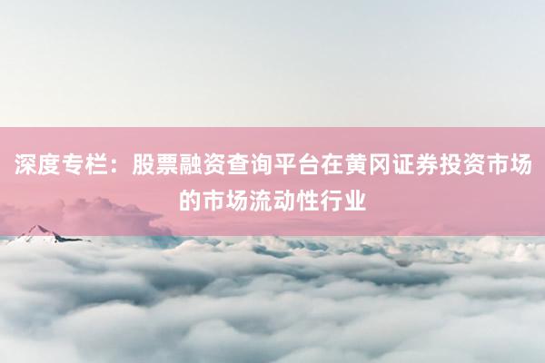 深度专栏：股票融资查询平台在黄冈证券投资市场的市场流动性行业