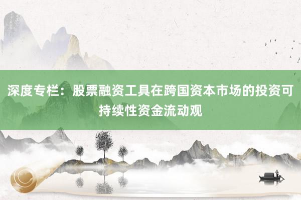 深度专栏：股票融资工具在跨国资本市场的投资可持续性资金流动观