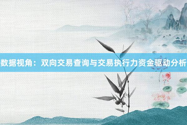 数据视角：双向交易查询与交易执行力资金驱动分析