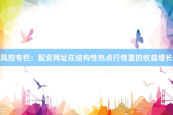 风控专栏：配资网址在结构性热点行情里的收益增长