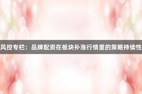风控专栏：品牌配资在板块补涨行情里的策略持续性