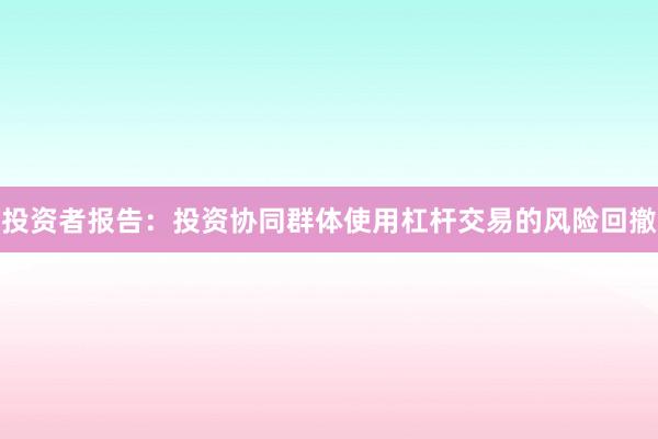 投资者报告：投资协同群体使用杠杆交易的风险回撤