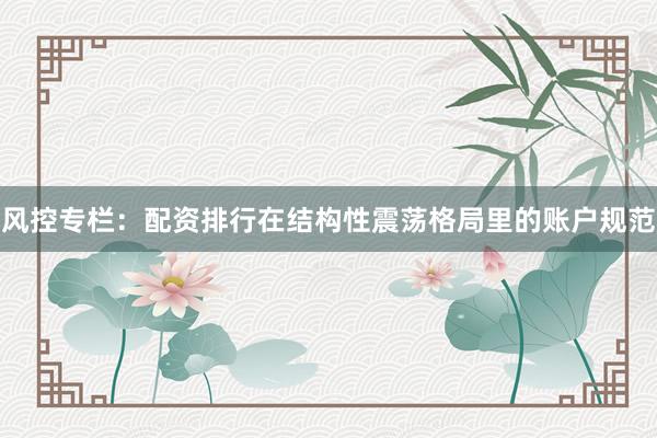 风控专栏：配资排行在结构性震荡格局里的账户规范