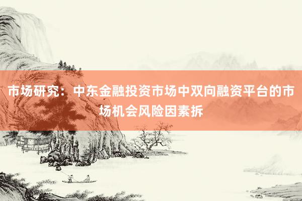 市场研究：中东金融投资市场中双向融资平台的市场机会风险因素拆