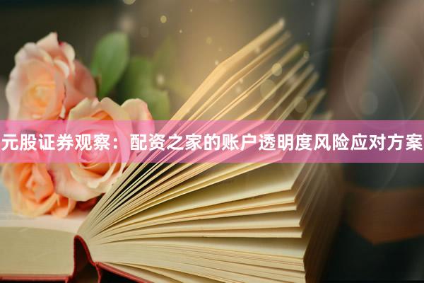 元股证券观察：配资之家的账户透明度风险应对方案