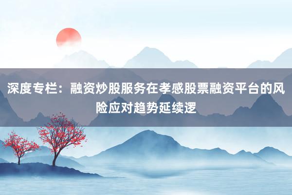 深度专栏：融资炒股服务在孝感股票融资平台的风险应对趋势延续逻