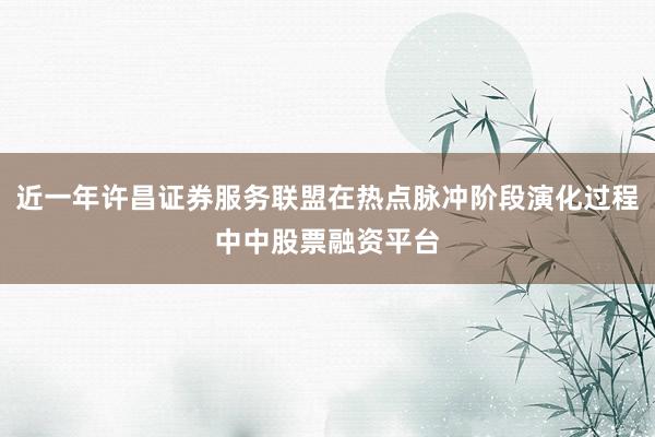 近一年许昌证券服务联盟在热点脉冲阶段演化过程中中股票融资平台