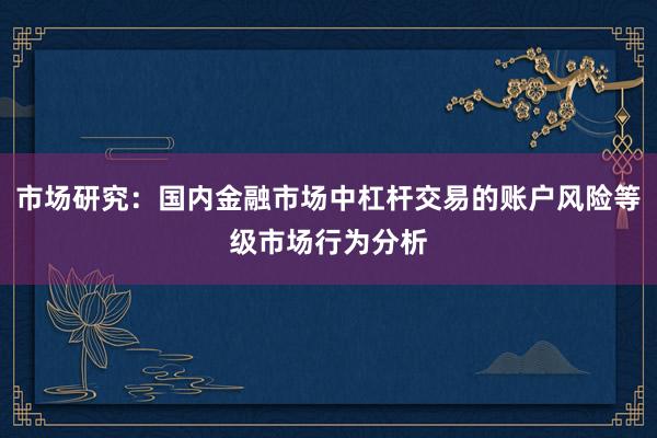市场研究：国内金融市场中杠杆交易的账户风险等级市场行为分析