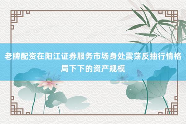 老牌配资在阳江证券服务市场身处震荡反抽行情格局下下的资产规模
