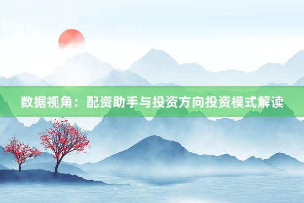 数据视角：配资助手与投资方向投资模式解读