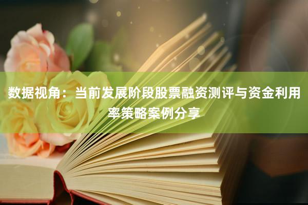 数据视角：当前发展阶段股票融资测评与资金利用率策略案例分享