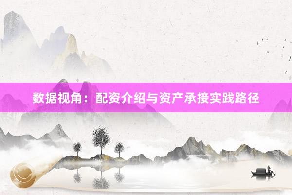 数据视角：配资介绍与资产承接实践路径