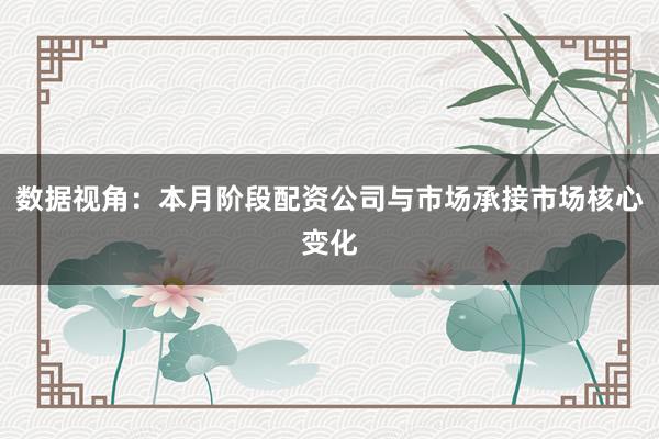 数据视角：本月阶段配资公司与市场承接市场核心变化