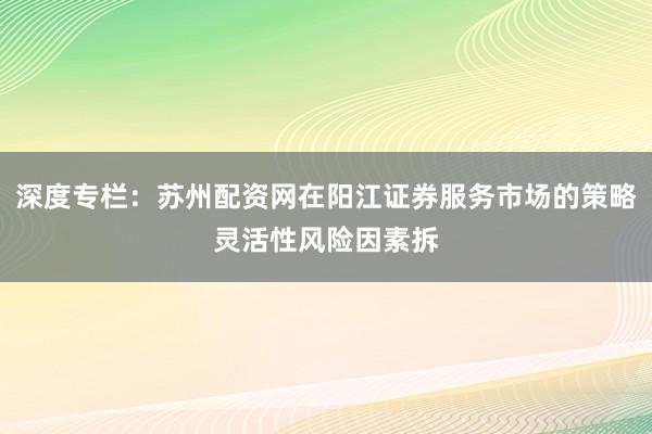 深度专栏：苏州配资网在阳江证券服务市场的策略灵活性风险因素拆