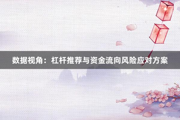 数据视角：杠杆推荐与资金流向风险应对方案