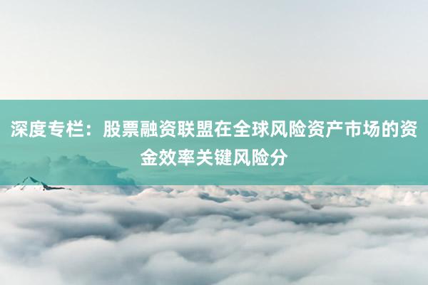 深度专栏：股票融资联盟在全球风险资产市场的资金效率关键风险分
