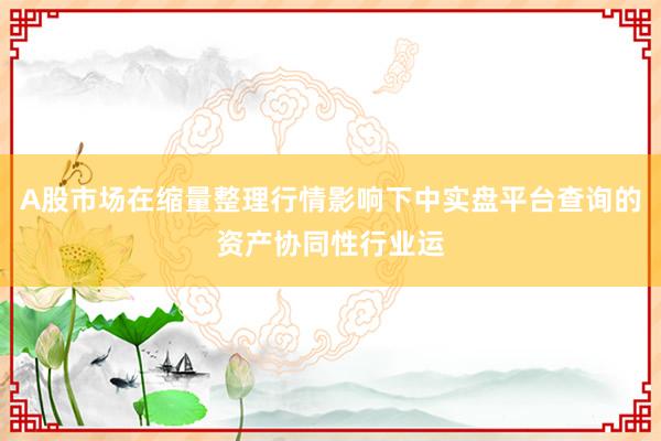 A股市场在缩量整理行情影响下中实盘平台查询的资产协同性行业运