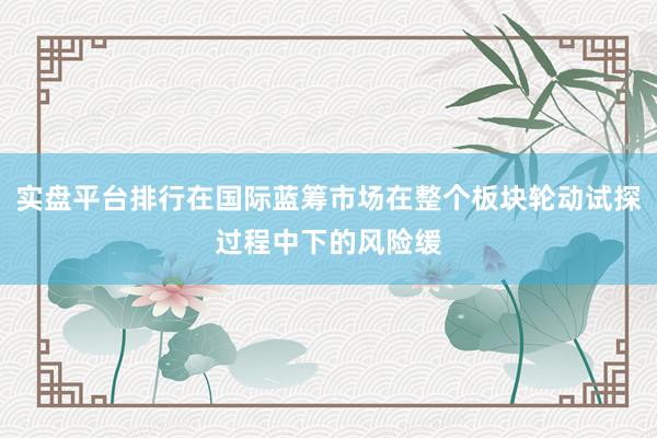 实盘平台排行在国际蓝筹市场在整个板块轮动试探过程中下的风险缓