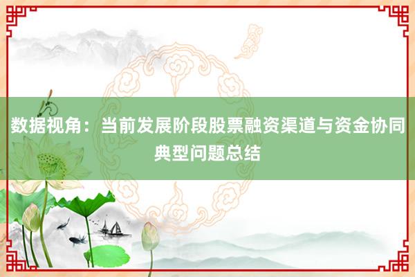 数据视角：当前发展阶段股票融资渠道与资金协同典型问题总结