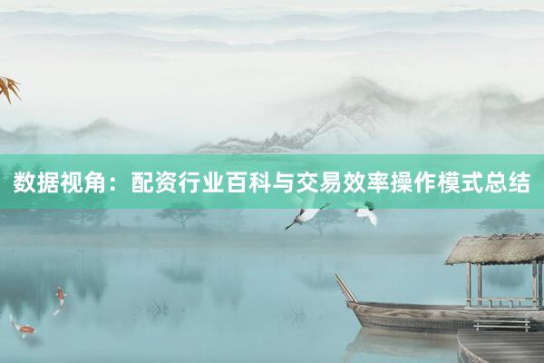 数据视角：配资行业百科与交易效率操作模式总结