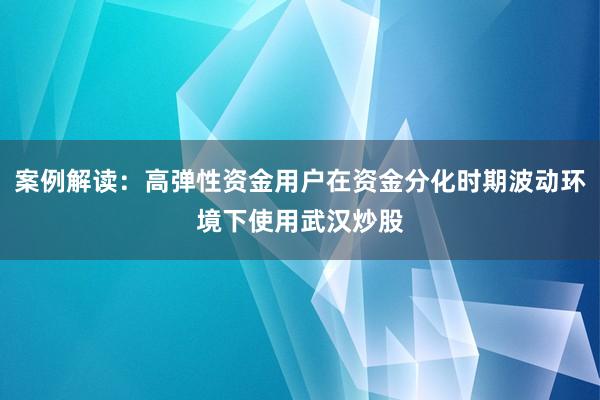 案例解读：高弹性资金用户在资金分化时期波动环境下使用武汉炒股