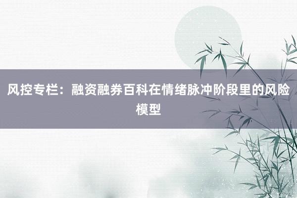 风控专栏：融资融券百科在情绪脉冲阶段里的风险模型