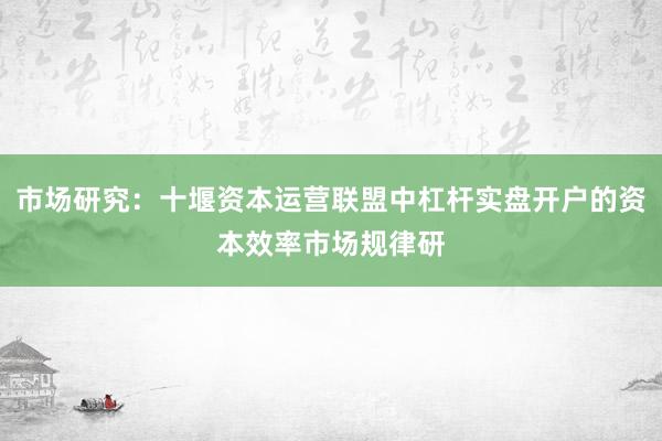 市场研究：十堰资本运营联盟中杠杆实盘开户的资本效率市场规律研