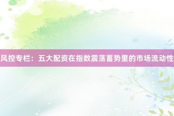 风控专栏：五大配资在指数震荡蓄势里的市场流动性