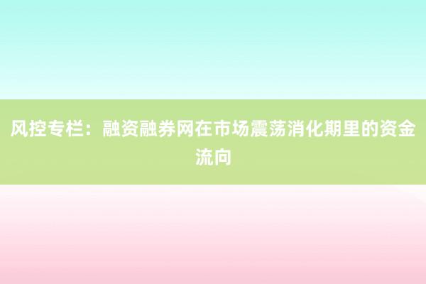 风控专栏：融资融券网在市场震荡消化期里的资金流向