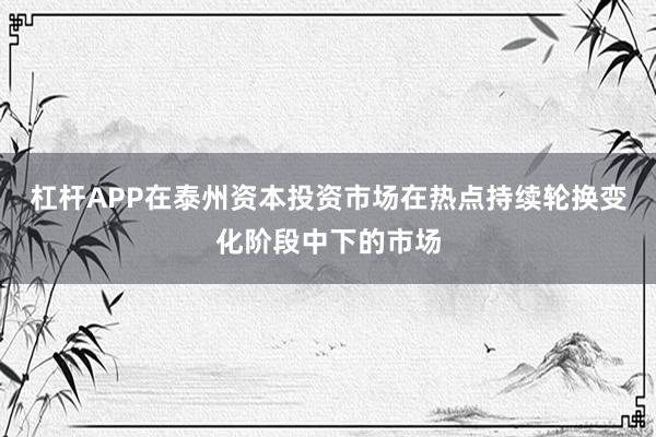 杠杆APP在泰州资本投资市场在热点持续轮换变化阶段中下的市场