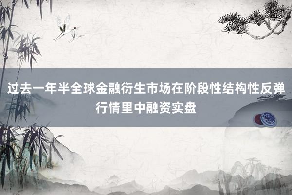 过去一年半全球金融衍生市场在阶段性结构性反弹行情里中融资实盘