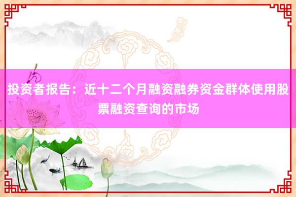 投资者报告：近十二个月融资融券资金群体使用股票融资查询的市场