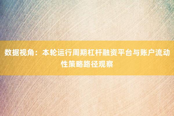 数据视角：本轮运行周期杠杆融资平台与账户流动性策略路径观察
