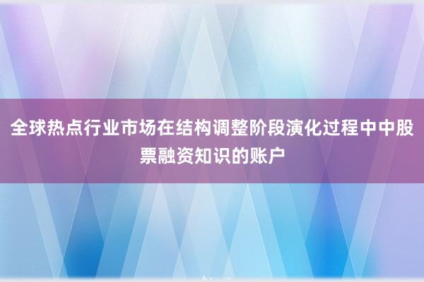 全球热点行业市场在结构调整阶段演化过程中中股票融资知识的账户