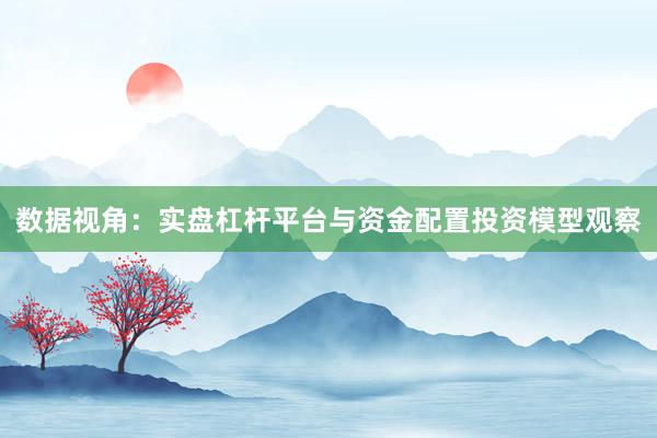 数据视角：实盘杠杆平台与资金配置投资模型观察