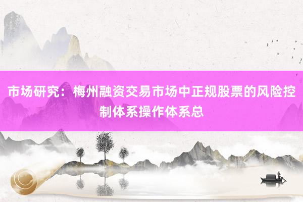 市场研究：梅州融资交易市场中正规股票的风险控制体系操作体系总