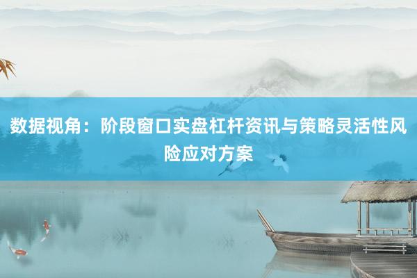数据视角：阶段窗口实盘杠杆资讯与策略灵活性风险应对方案