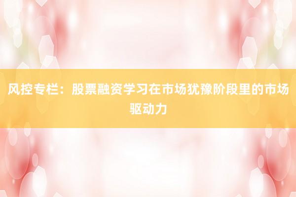 风控专栏：股票融资学习在市场犹豫阶段里的市场驱动力