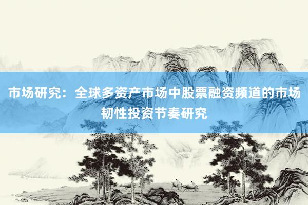 市场研究：全球多资产市场中股票融资频道的市场韧性投资节奏研究