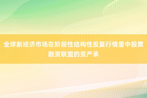 全球新经济市场在阶段性结构性反复行情里中股票融资联盟的资产承