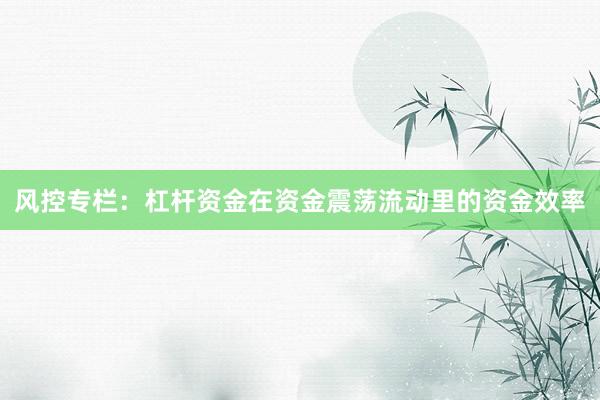 风控专栏：杠杆资金在资金震荡流动里的资金效率