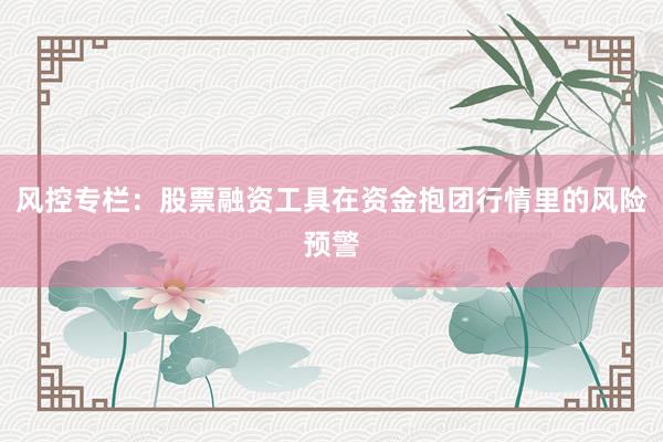 风控专栏：股票融资工具在资金抱团行情里的风险预警